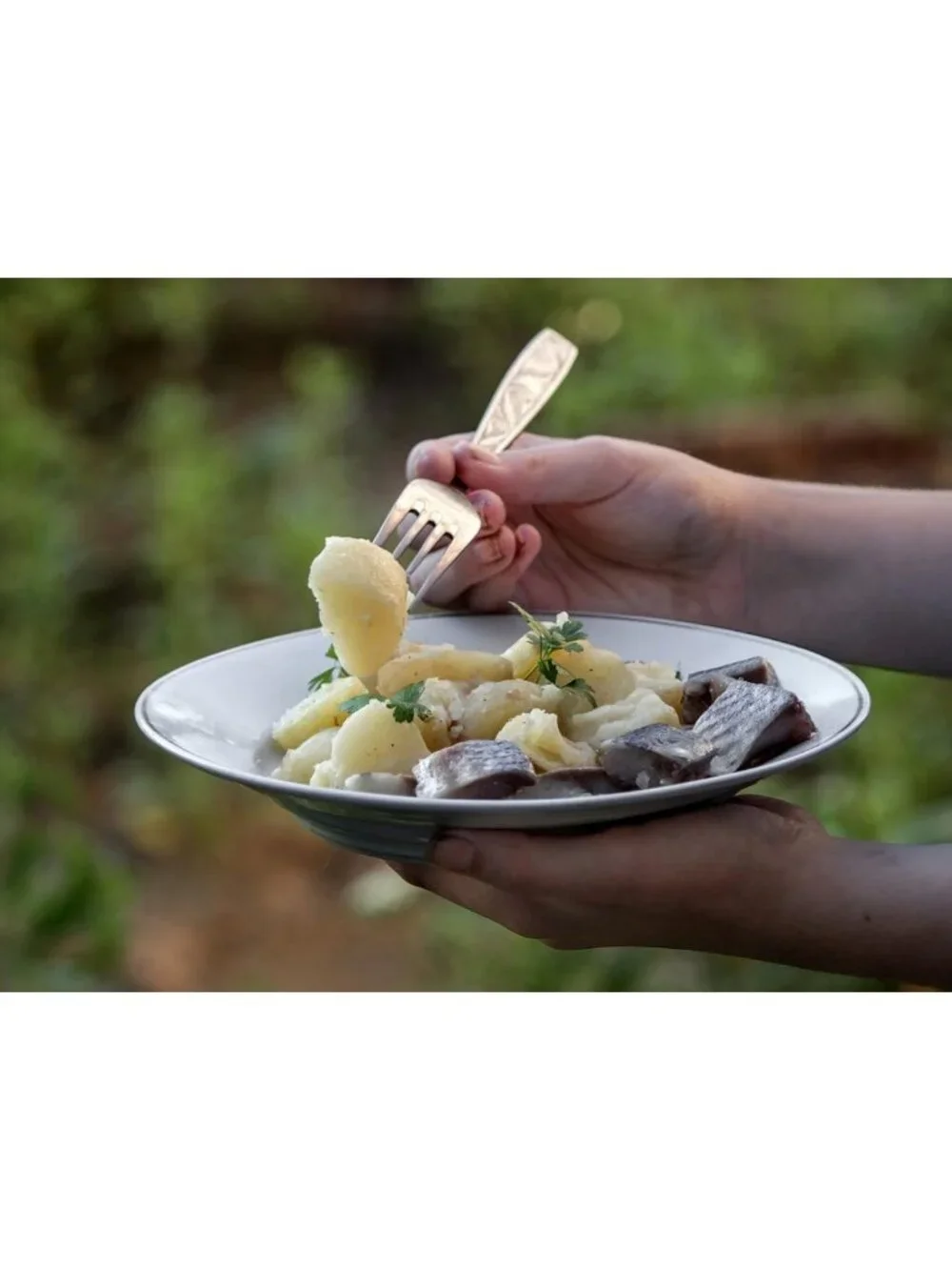 Ultra-Portable Stainless Steel Plate Set - 8.5